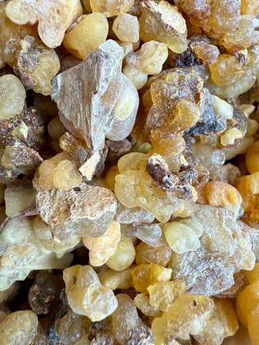 Occulta Frankincense Somalia (Boswellia Occulta)